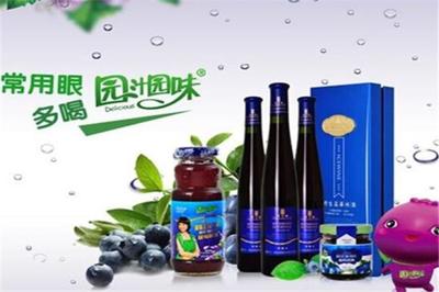 園汁園味飲品加盟 大連市場(chǎng)的機(jī)遇與前景