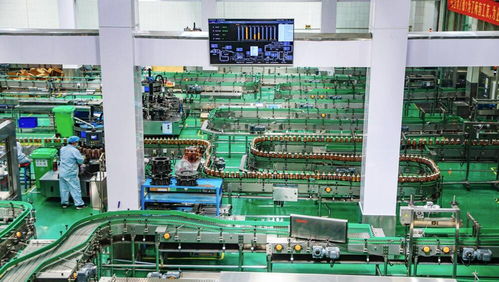 百年膠濟(jì)釋放發(fā)展新動(dòng)能 淄博與大連產(chǎn)業(yè)的澎湃動(dòng)力